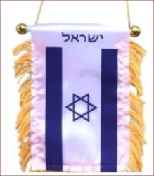 דגל וואקום לרכב 12 יח במארז