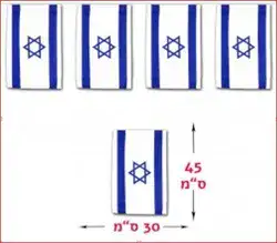 שרשרת דגלונים ישראל 30*45 אורן 4 מטר/6 יח במארז